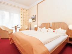 Zimmerbild 11