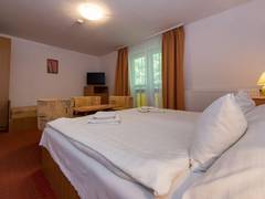 Zimmerbild 14