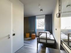 Zimmerbild 4