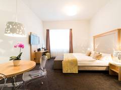 Zimmerbild 11