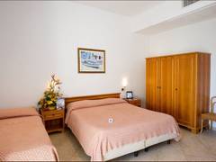 Zimmerbild 10