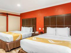 Zimmerbild 12