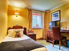Zimmerbild 4