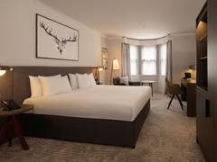 Zimmerbild 10