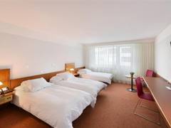 Zimmerbild 7
