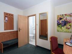Zimmerbild 11