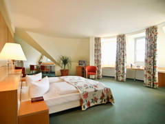 Zimmerbild 1