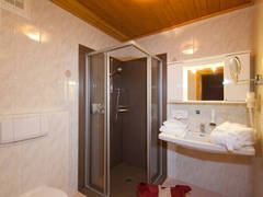 Zimmerbild 4