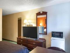 Zimmerbild 12