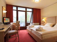 Zimmerbild 6