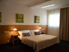 Zimmerbild 16