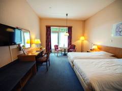 Zimmerbild 4
