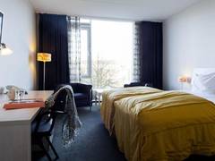 Zimmerbild 8