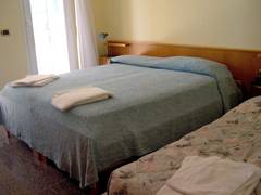 Zimmerbild 6