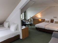 Zimmerbild 3
