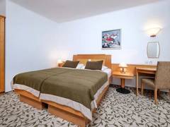 Zimmerbild 13