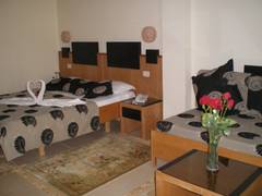 Zimmerbild 6