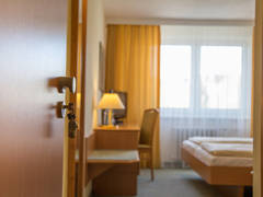 Zimmerbild 8