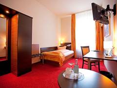 Zimmerbild 6