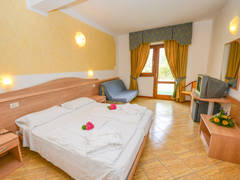 Zimmerbild 15
