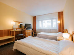 Zimmerbild 11