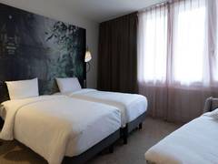 Zimmerbild 6