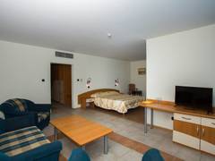 Zimmerbild 14