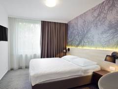 Zimmerbild 9