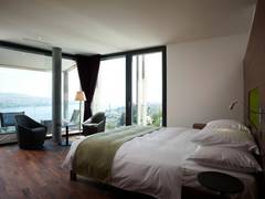 Zimmerbild 6