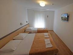Zimmerbild 1