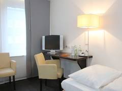 Zimmerbild 19