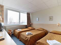 Zimmerbild 18