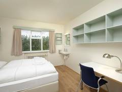 Zimmerbild 6