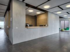 Zimmerbild 6