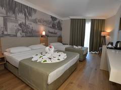 Zimmerbild 11