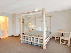 Zimmerbild 1