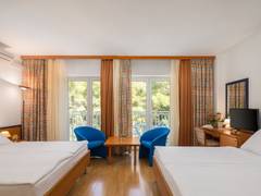 Zimmerbild 6