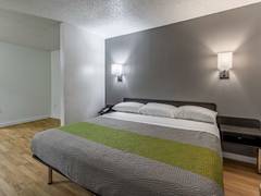 Zimmerbild 8