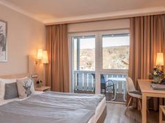 Zimmerbild 8