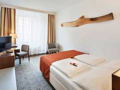Zimmerbild 8