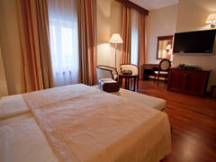 Zimmerbild 6