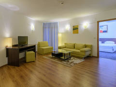 Zimmerbild 8