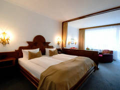 Zimmerbild 10