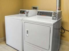 Zimmerbild 4