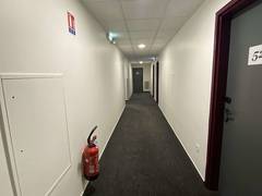 Zimmerbild 3
