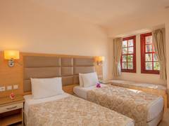 Zimmerbild 6