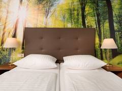 Zimmerbild 8