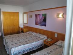 Zimmerbild 11
