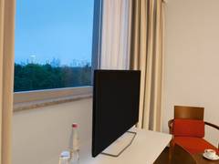 Zimmerbild 12