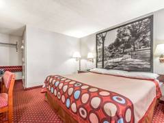 Zimmerbild 4